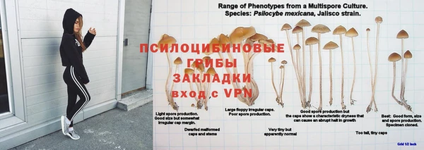 тгк Балабаново